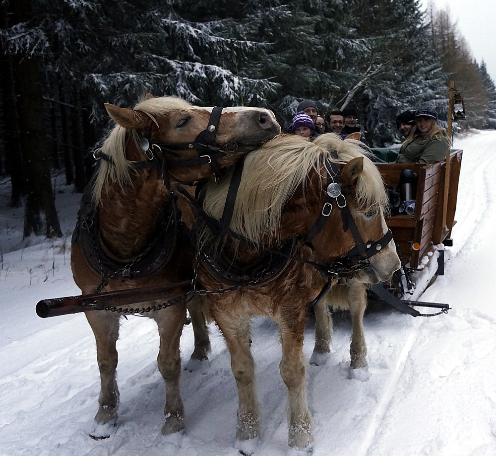 Weihnachtsurlaub Erzgebirge 2022 Weihnachtsurlaub im Erzgebirge