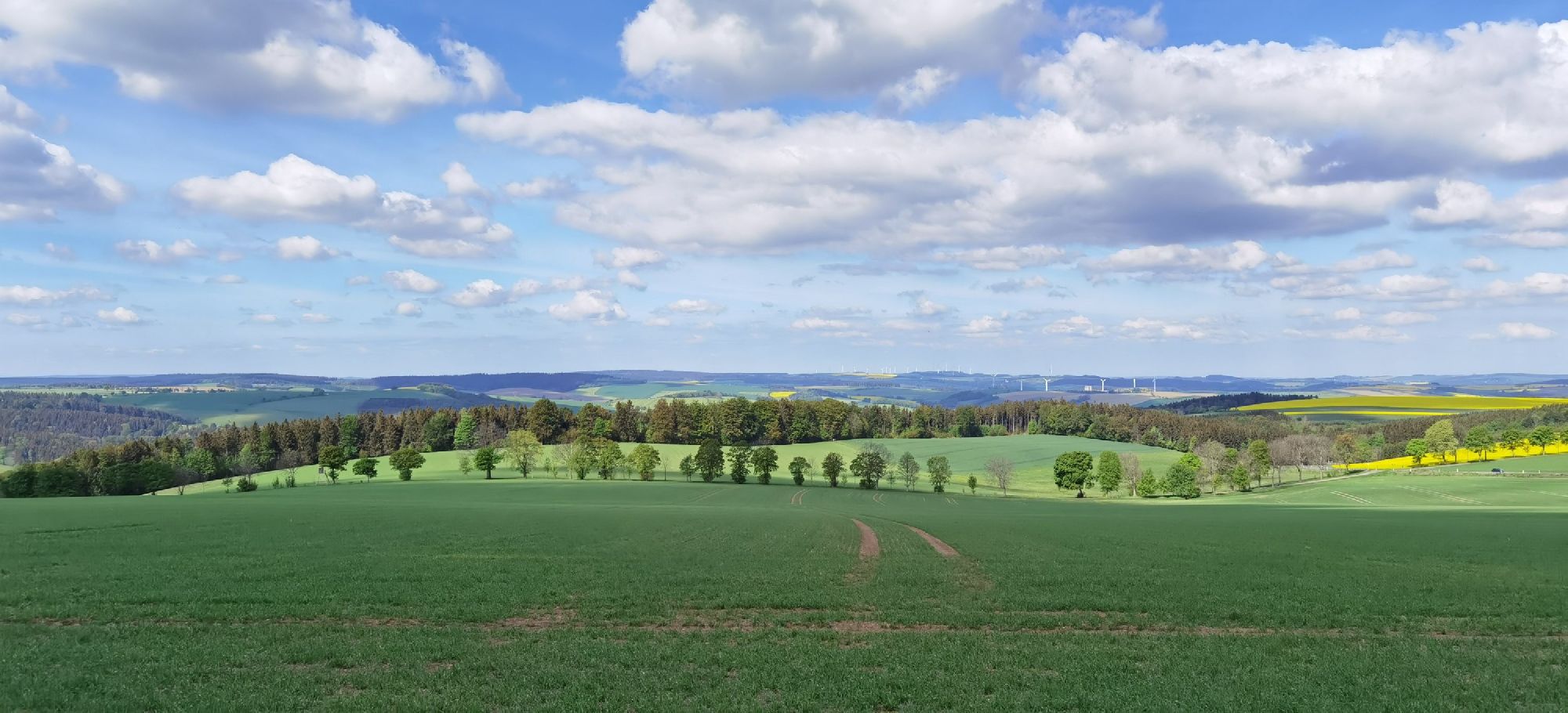 typische erzgebirgische Landschaft