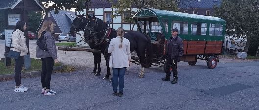 Kutscher mit Gästen