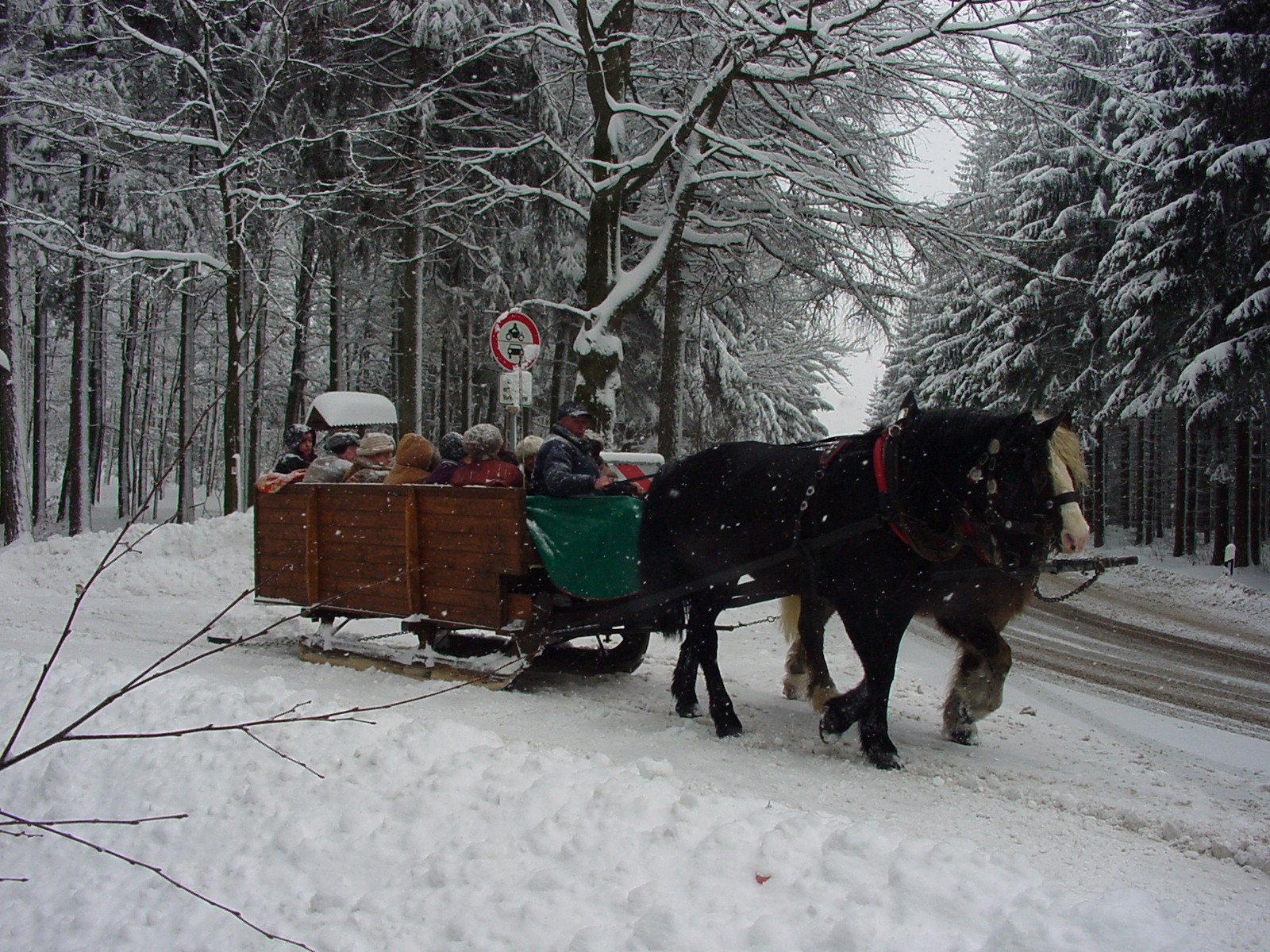 Erzgebirge Hotels Weihnachtsangebote Pferdeschlittenfahrt